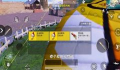 和平精英挂饰无法展示怎么办（和平精英挂饰无法显示常见原因）