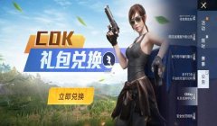和平精英买了挂怎么用（和平精英挂件实用性排行）