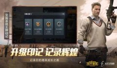 和平精英买挂怎么买下载（和平精英买挂购买指南）