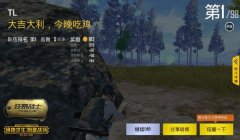 和平精英怎么样才能躲避队友开挂（和平精英挂机行为的影响）