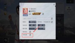 和平精英名片挂男友名字怎么挂（和平精英个性化名片设计）