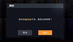 和平精英挂主页怎么挂不了（和平精英挂主页挂不了）
