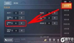 和平精英不用辅助技能怎么设置（和平精英高手不用辅助技巧）