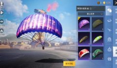 和平精英开挂外国小哥怎么玩（如何辨别和平精英的开挂行为）