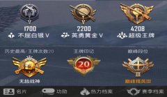 和平精英名片怎么挂符号（和平精英名片符号获取途径）