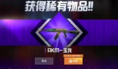 和平精英单向门窗帘怎么挂（和平精英单向门窗帘的获取途径）
