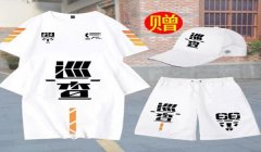 和平精英巡查员遇到挂哥怎么办（和平精英巡查员如何取证）