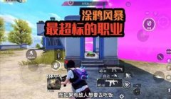 和平精英握柄怎么开挂（和平精英握柄选择指南）