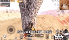 和平精英提示开挂怎么解决（和平精英防外挂最新技术动态）