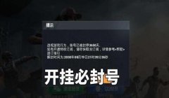 和平精英我想开挂怎么开（和平精英开挂被捕案例）