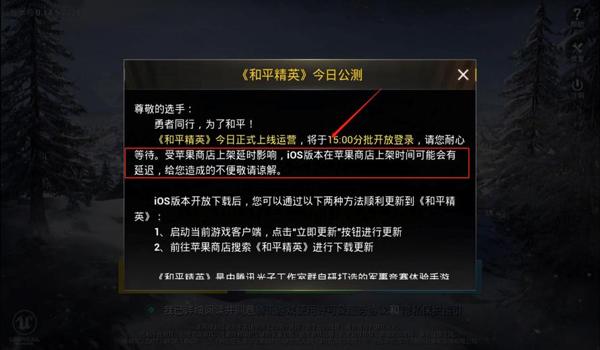 和平精英怎么才能有好友辅助（如何在和平精英中加好友并获得辅助）