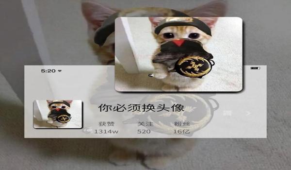 和平精英开挂人头像怎么弄（和平精英头像变更合法渠道）