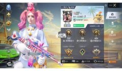 和平精英怎么加专属辅助群（和平精英辅助群的优缺点）