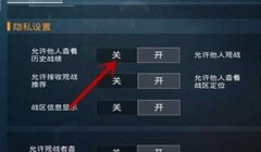 和平精英挂主页小符号怎么弄（如何挑选和平精英主页符号）