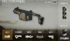 和平精英一直挂枪怎么办（和平精英挂枪常见原因分析）