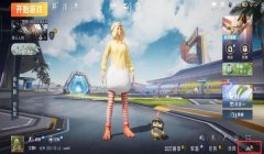 和平精英家园花朵挂饰怎么悬浮（和平精英家园挂件维护技巧）