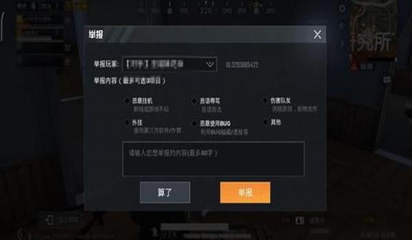 ios怎么开和平精英挂（如何在iOS设置和平精英）