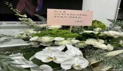 和平精英墙上挂的花篮怎么用（和平精英花篮搭配技巧）