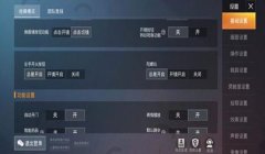 和平精英怎么自动开启辅助（和平精英自动瞄准设置教程）