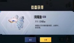 和平精英怎么挂鱼竿（和平精英挂鱼竿的地点推荐）