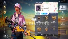 和平精英怎么加辅助号微信（和平精英辅助号的使用技巧）