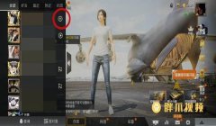 和平精英吃鸡辅助怎么弄（和平精英辅助对战力的影响）