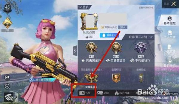 和平精英名片怎么挂id（和平精英名片称号怎么获得分享）