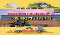 和平精英挂墙花篮怎么放弧形窗（和平精英挂墙花篮的设计灵感）