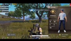 和平精英外挂一般怎么挂的（和平精英外挂的法律责任）