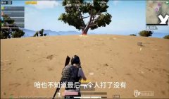 和平精英开挂巡查员怎么才能有（巡查员选拔流程详解）